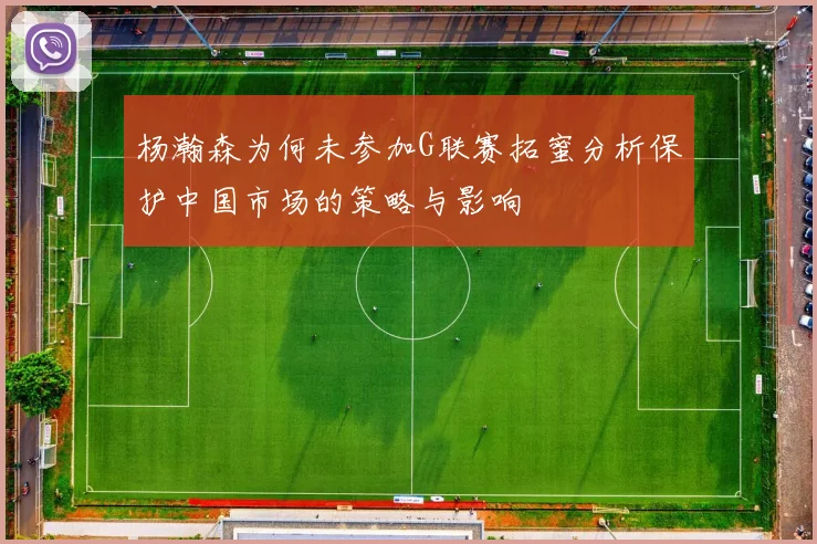 杨瀚森为何未参加G联赛拓蜜分析保护中国市场的策略与影响