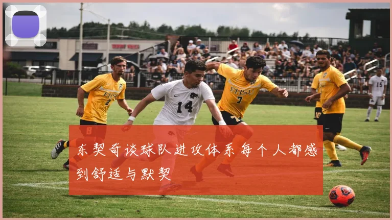 东契奇谈球队进攻体系每个人都感到舒适与默契