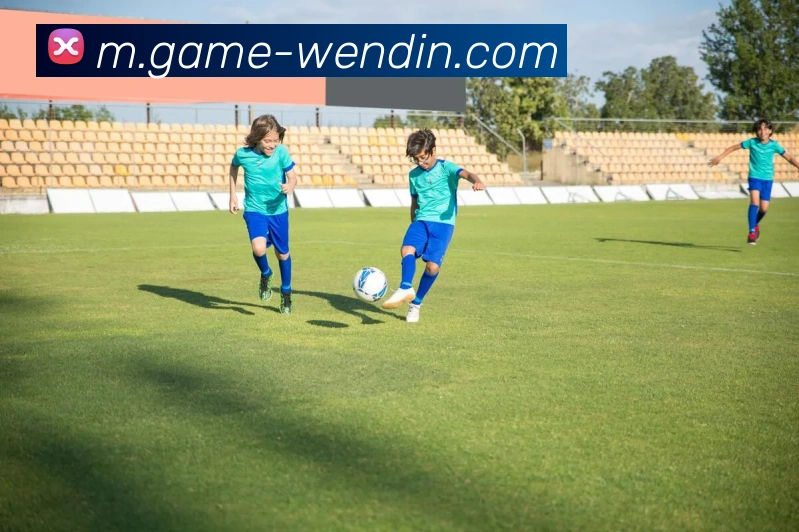 奖项证书